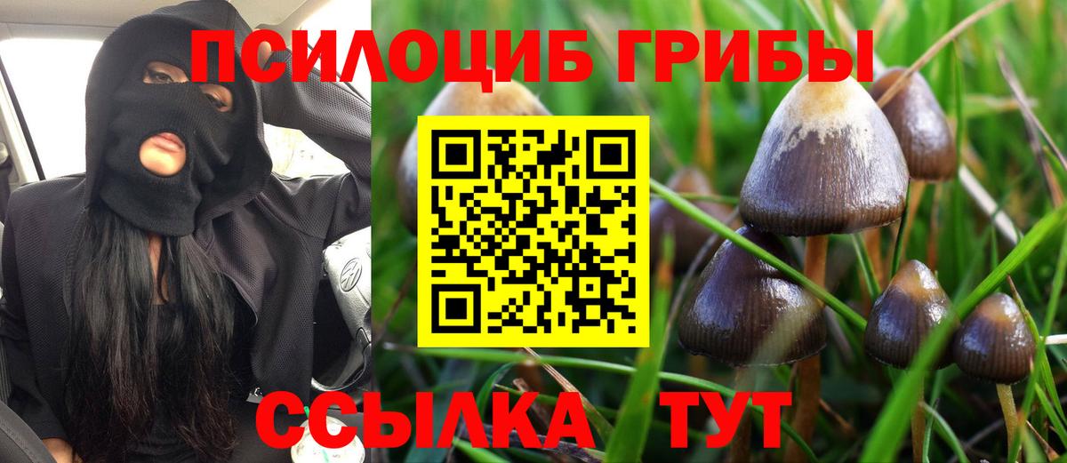 Каменск-Уральский  Галлюциногенные грибы мицелий  Вход с VPN 